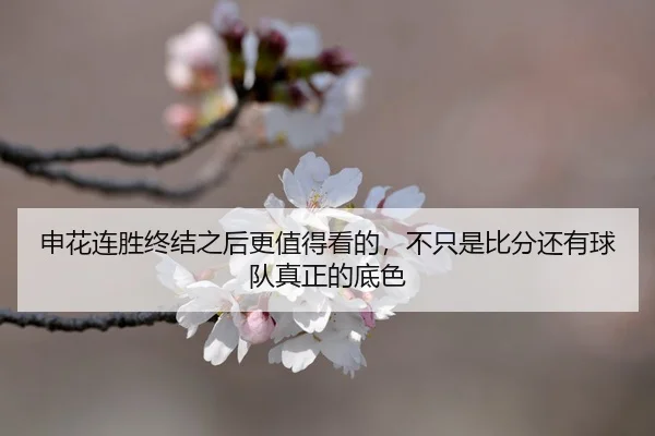 shen-hua-lian-sheng-zhong-jie-zhi-hou-geng-zhi-de-kan-de-bu-zhi-shi-bi-fen-hai-you-qiu-dui-zhen-zheng-de-di-se-3-616.jpg